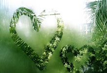 奥运会——中国三人女篮附加赛不敌美国无缘半决赛