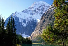 冠军：中超-塞尔吉尼奥传射贝利奇两次 亚泰5-0海牛